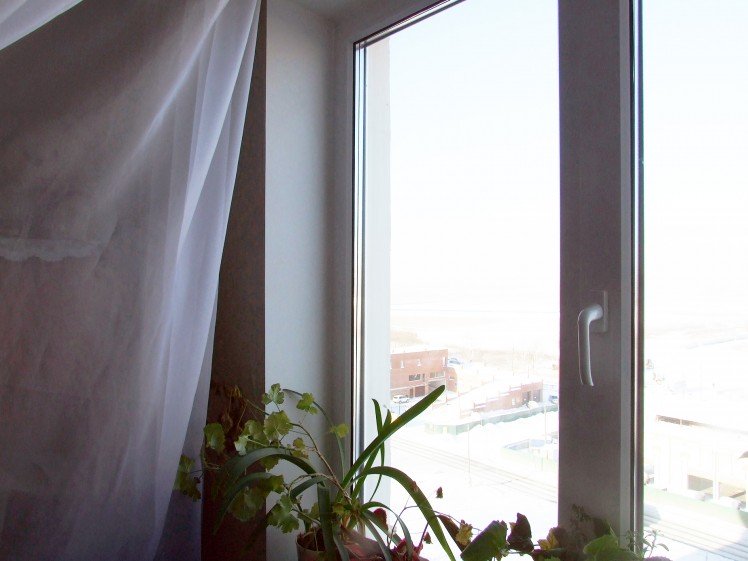 окна пвх в омске отзывы, пластиковые окна в омске отзывы, Пластиковые окна в омске, окна пвх в омске